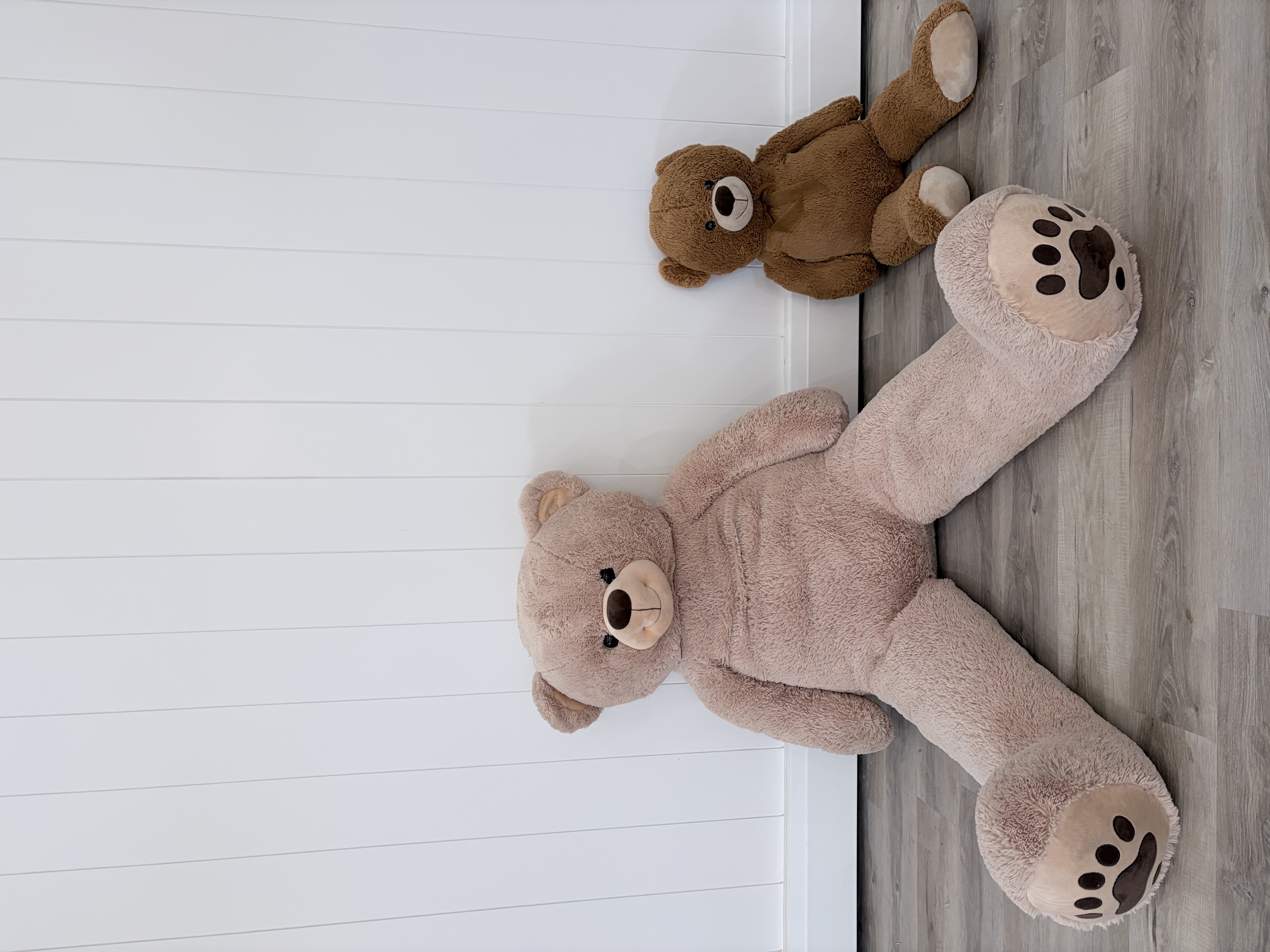 Plush Animal Rental Inventory